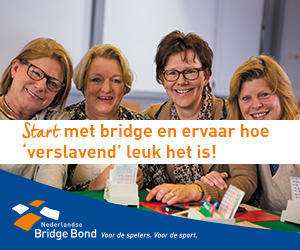 Start met Bridge